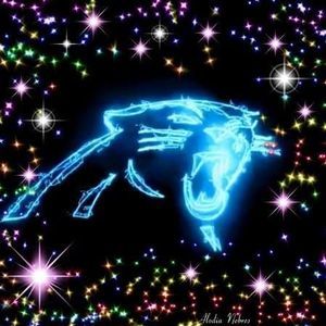 Meet your Posher, Joyce